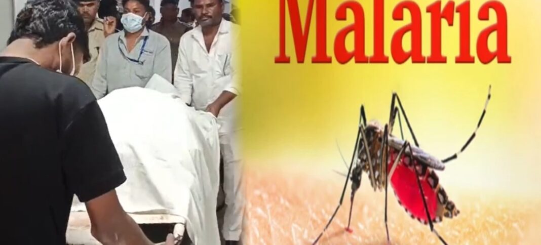 CG NEWS: First malaria death in Bilaspur; rising cases in the Kota area raise concerns.